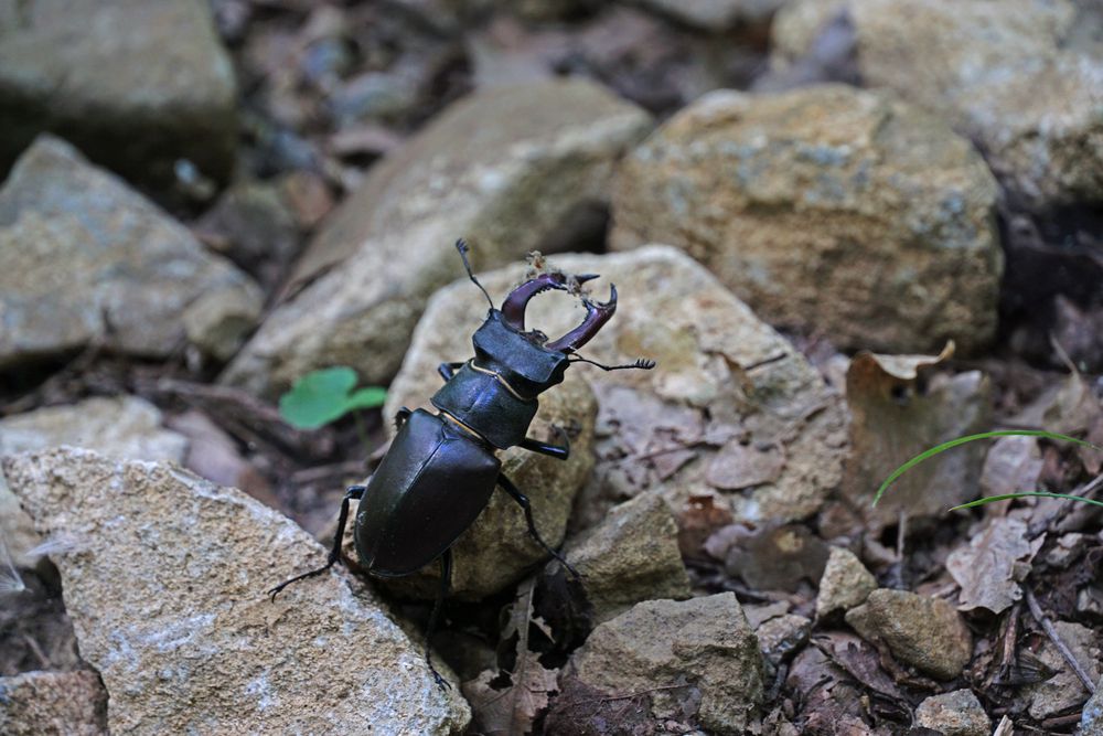 Photograph by света хлевненко