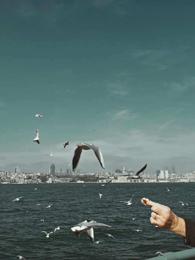 Photograph by Rauan Mynbayev