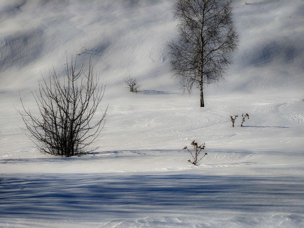 Photograph by Кондрашова Светлана