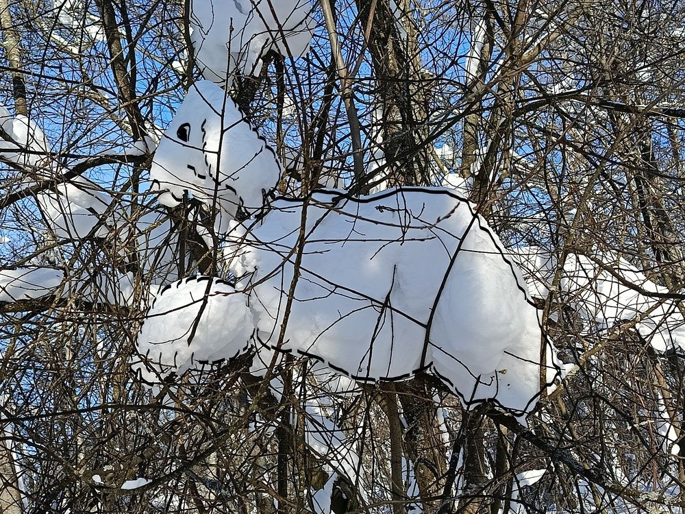 Зимние фантазии!