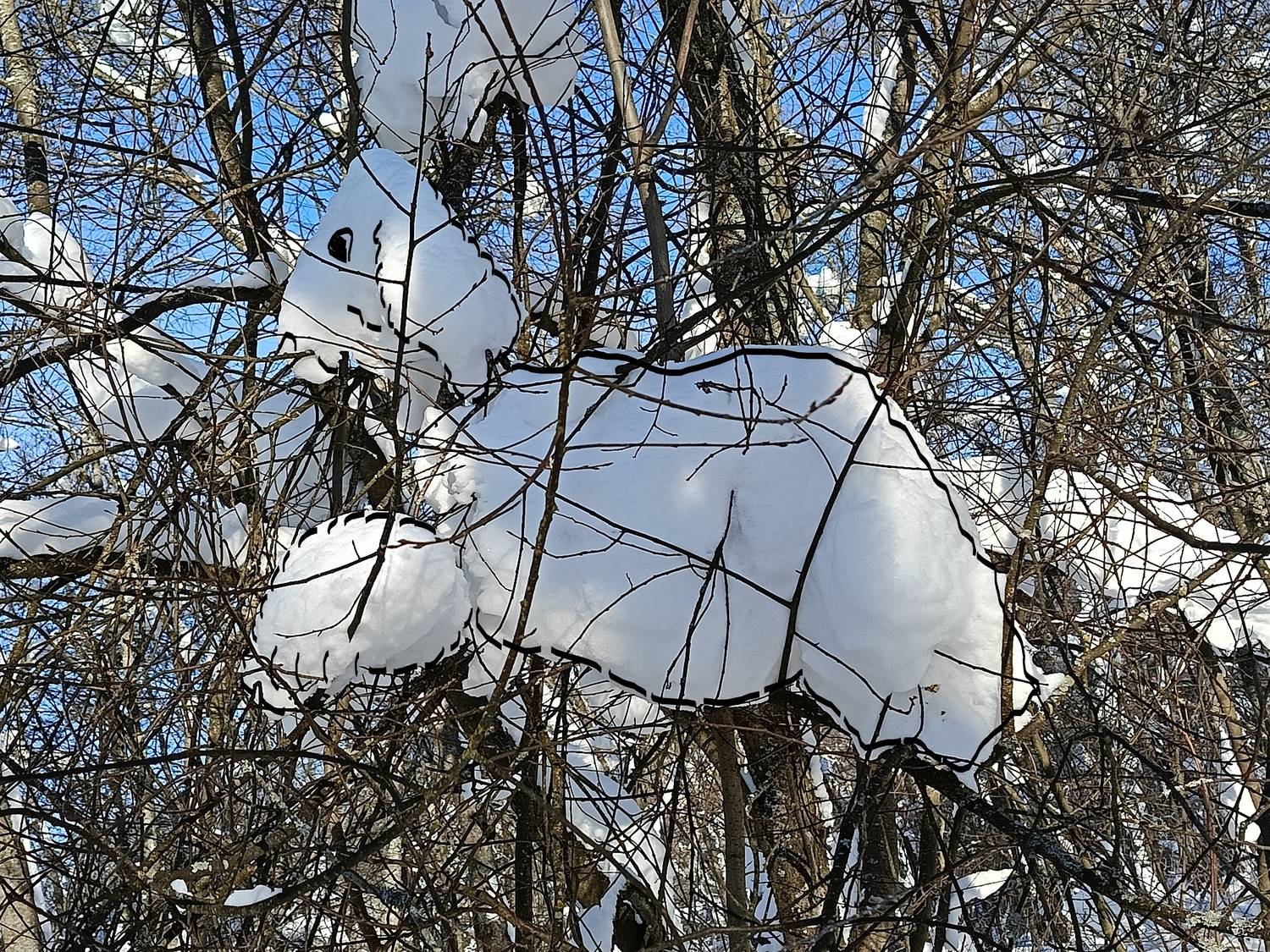 Зимние фантазии!