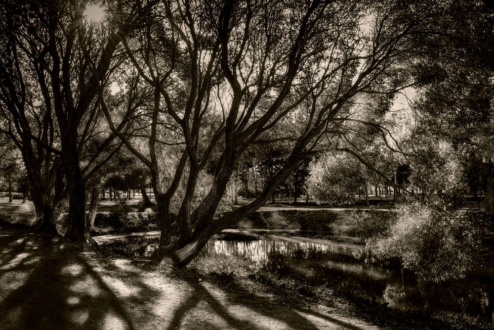 Photograph by Игорь Бессонов