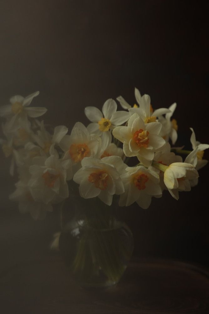 Photograph by Дарья Савиных