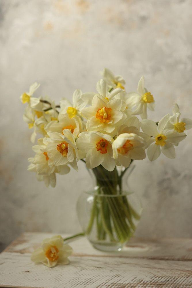 Photograph by Дарья Савиных