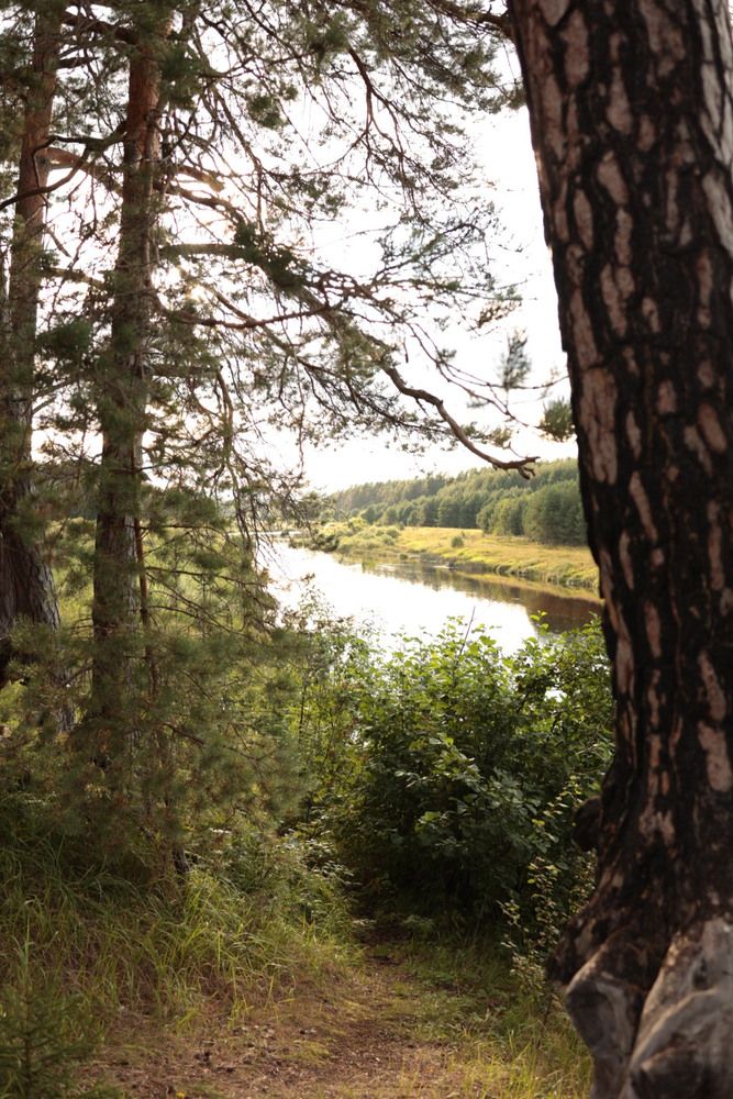 Photograph by Дарья Савиных