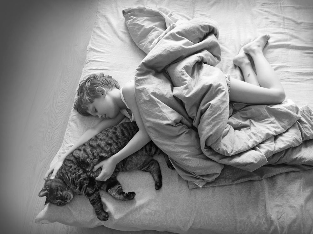 Детство - это когда кот старше тебя