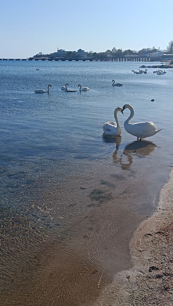 Photograph by Галина Урлапкина