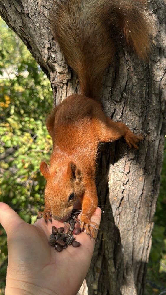 Photograph by Марина Мишутина