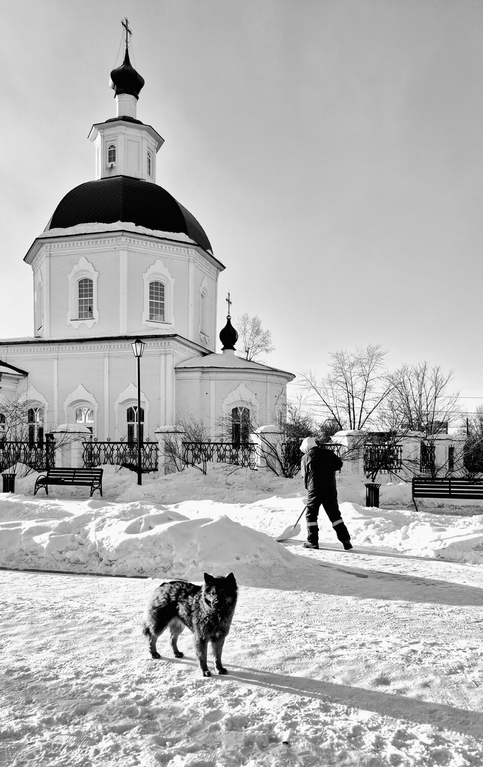 Photo #13323312