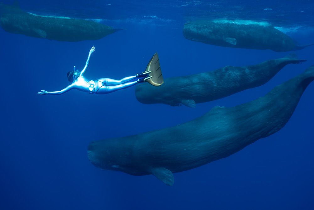 Photograph by Aleksandra Gordeeva