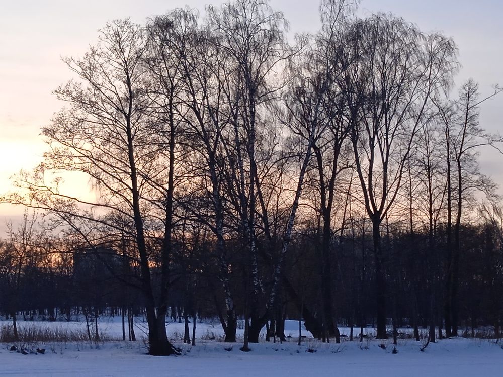 Photograph by Фёдор Викторович