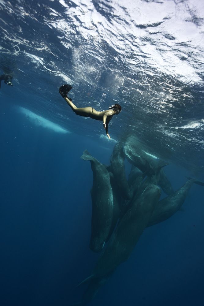 Photograph by Aleksandra Gordeeva