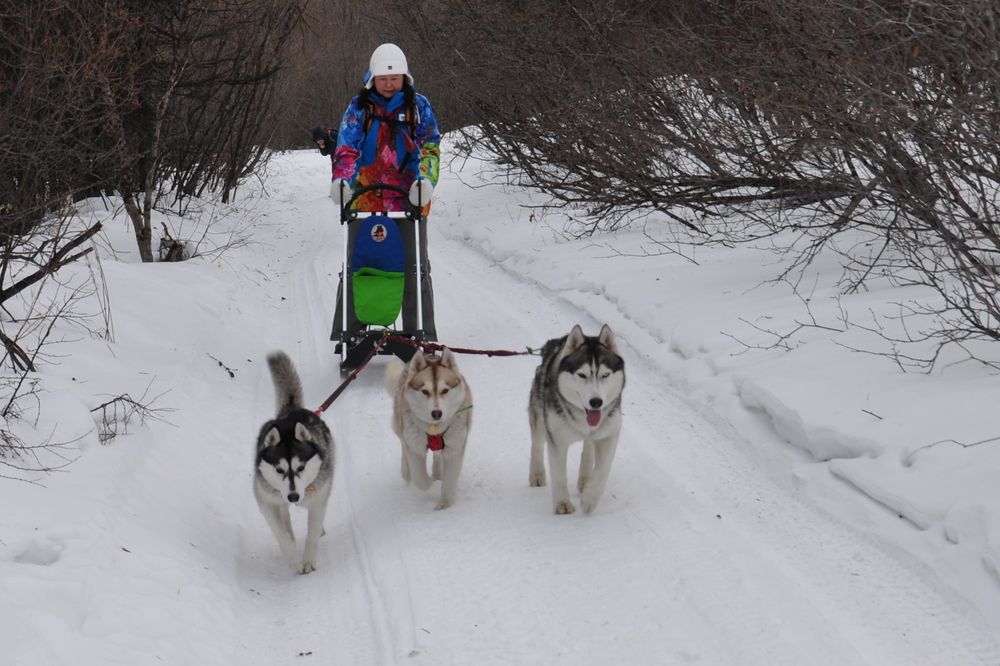 Photograph by Евгений Захаров