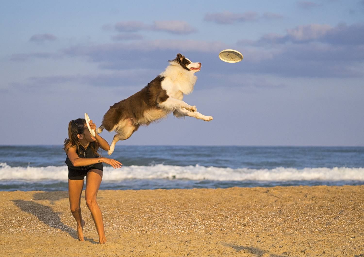 Photo #13323450