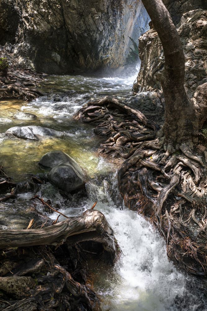 Photograph by Юрий