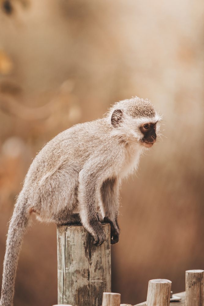 Photograph by Nani Cohen
