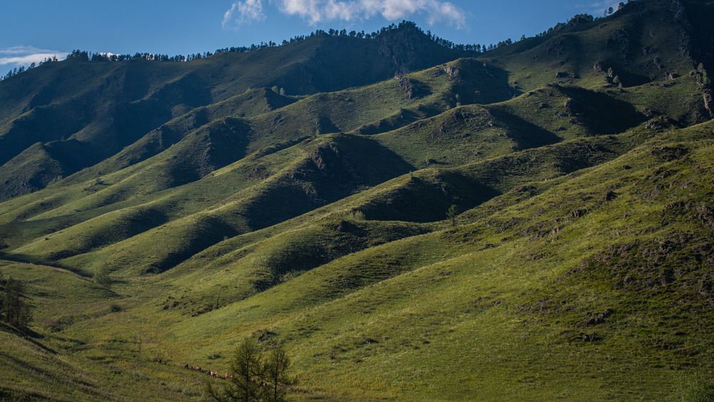 Photograph by Никита Кузнецов