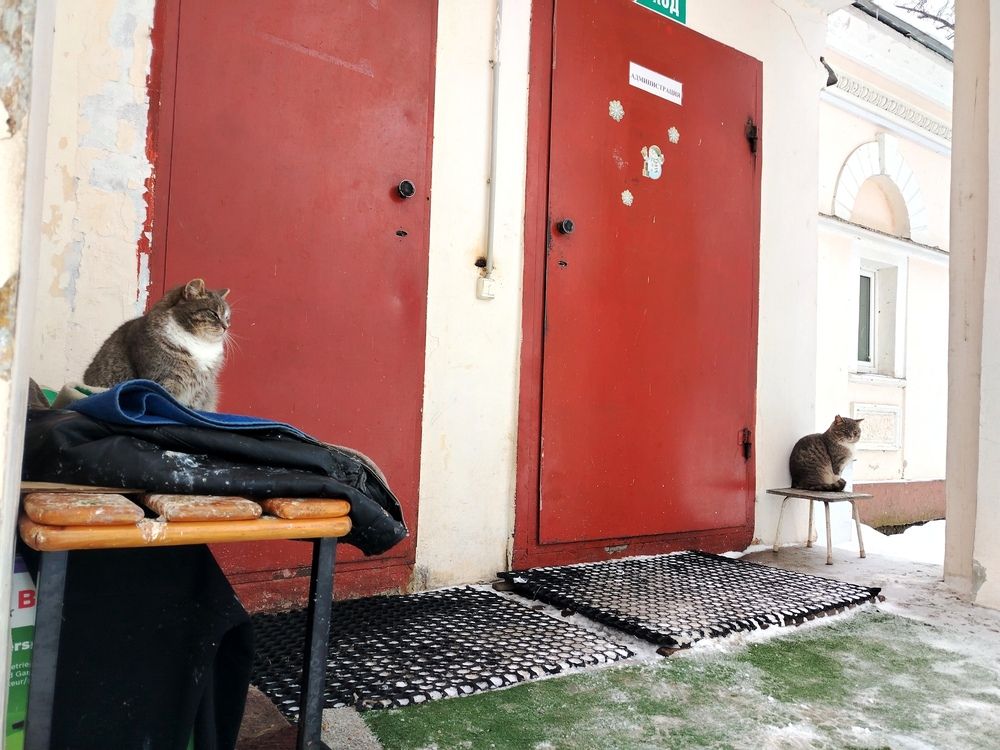 Photo #13323586