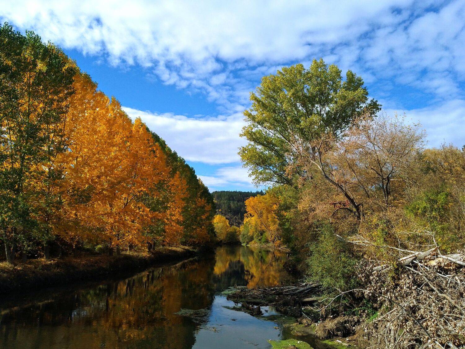 Autumn - the greatest painter Autumn - the greatest painter