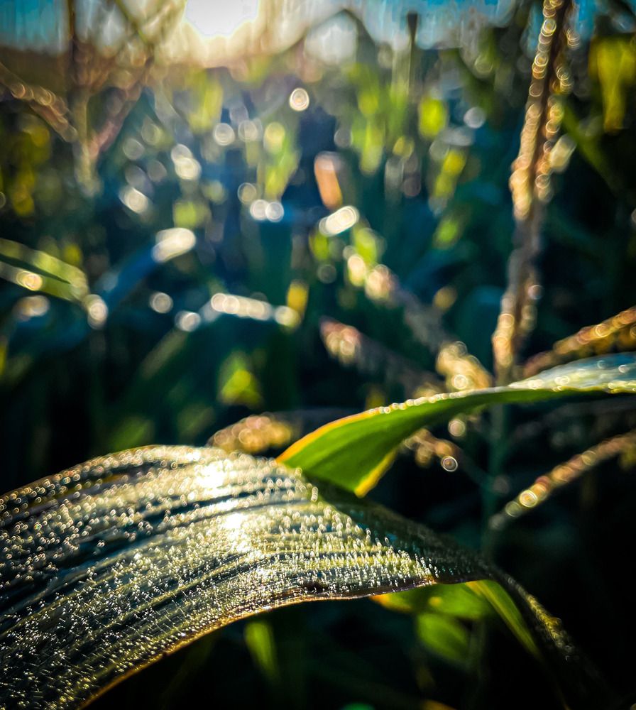 Photograph by Nikolai Osokin