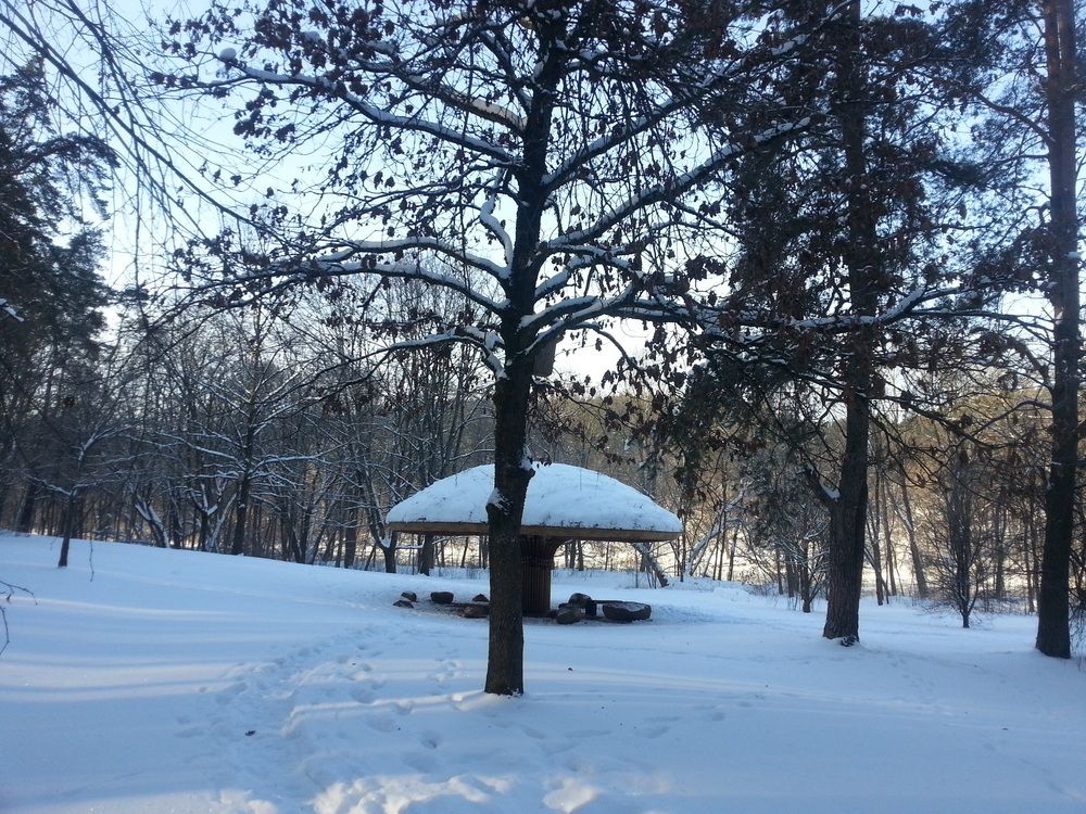 Winter in Vingis park