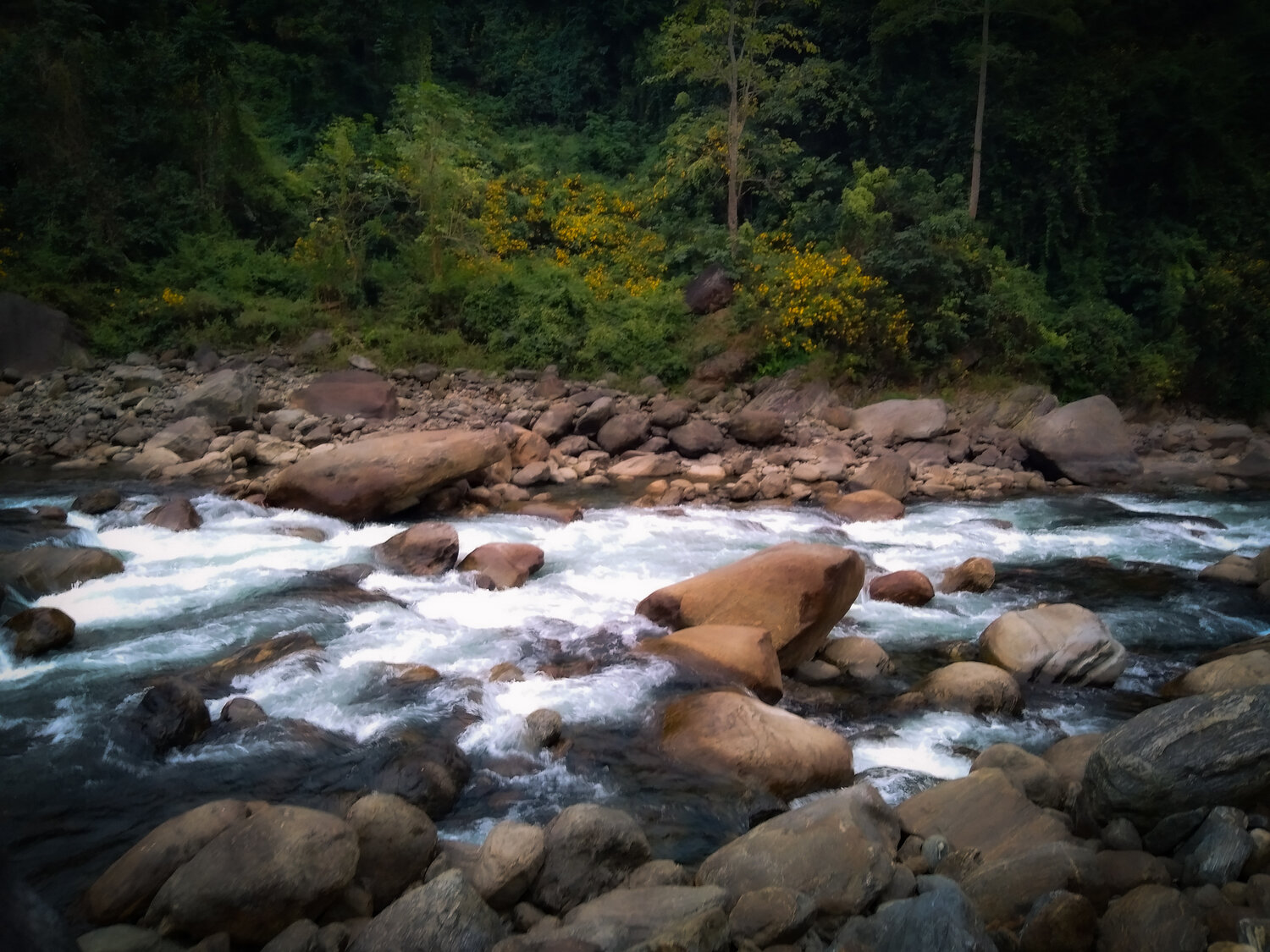 Photo #13323916