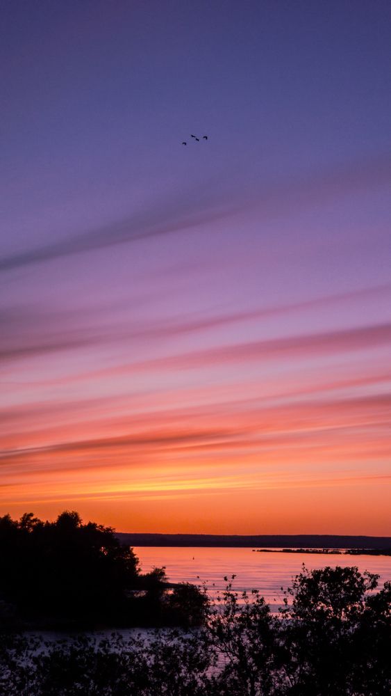 Photograph by Alina Orlova