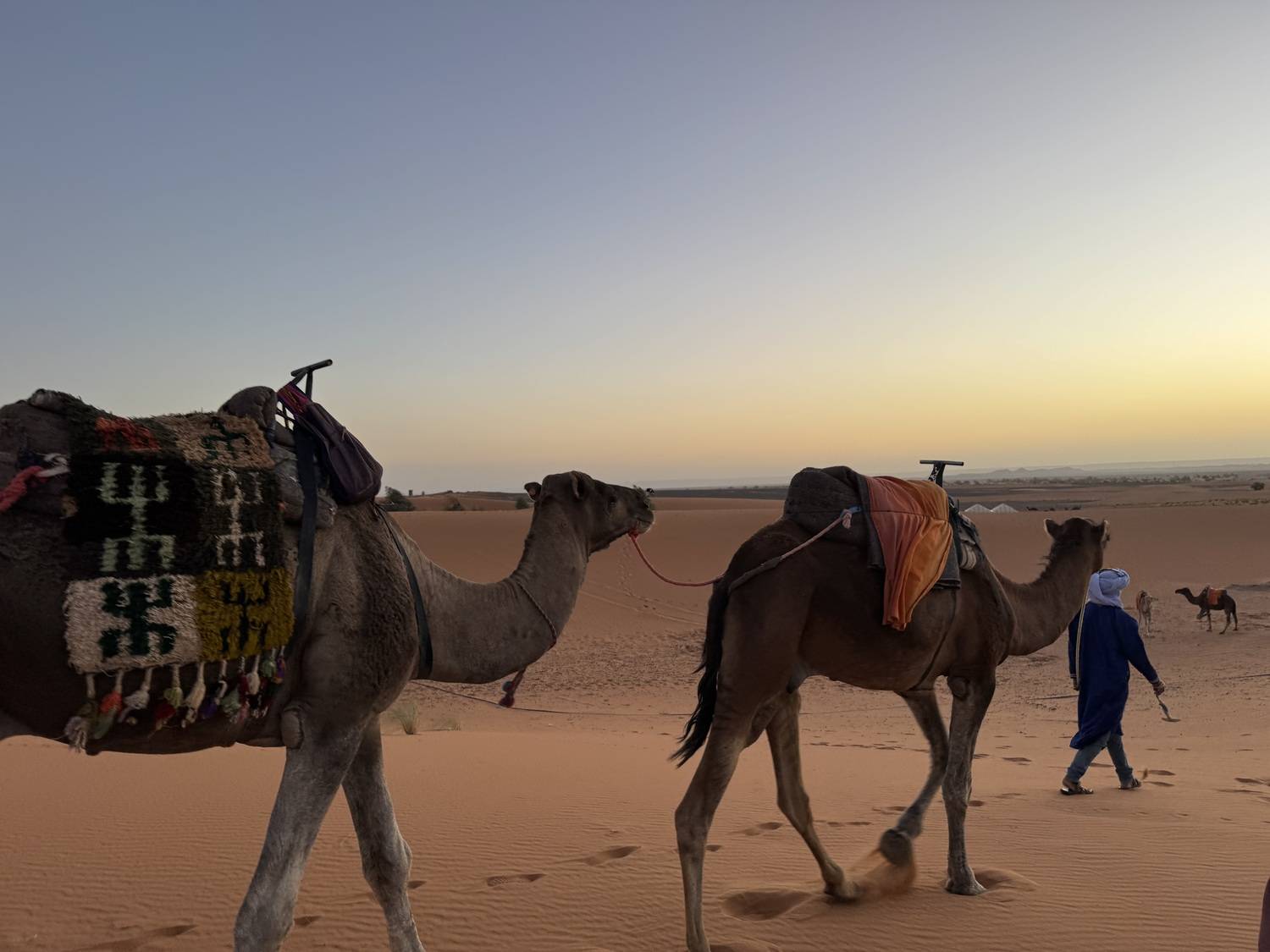 Фотография #13324006