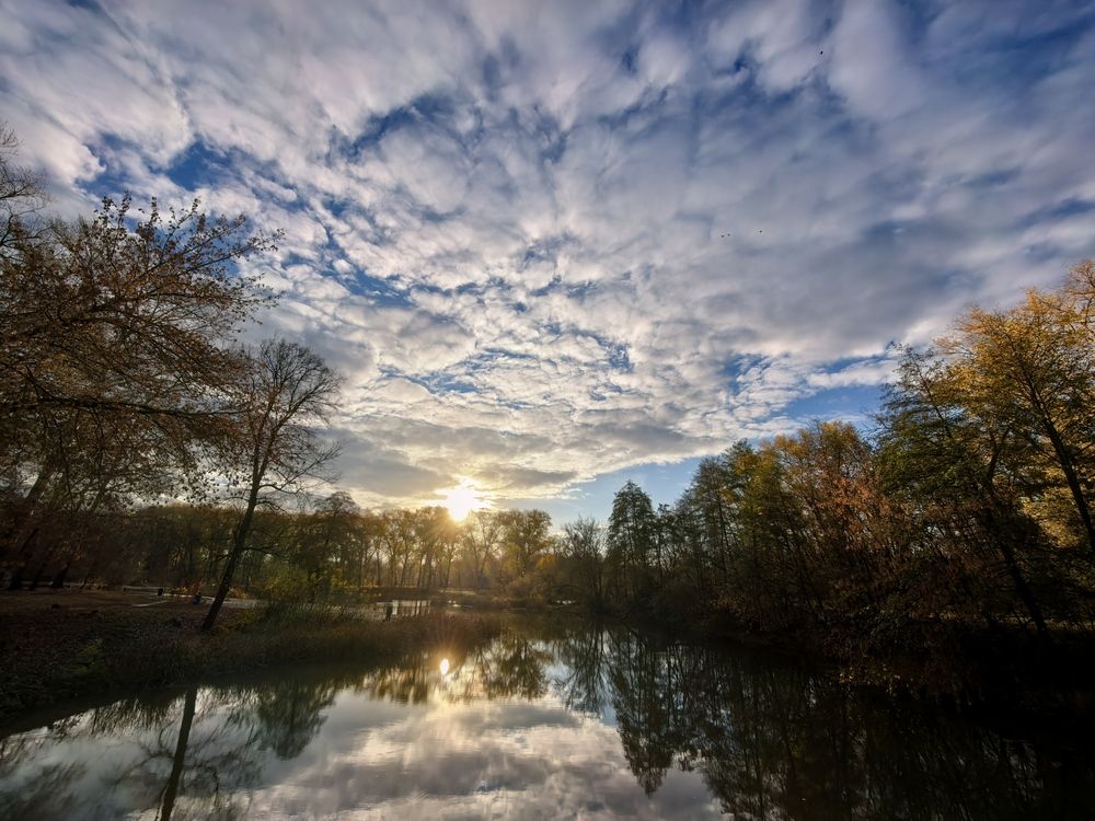 Photo #13324007