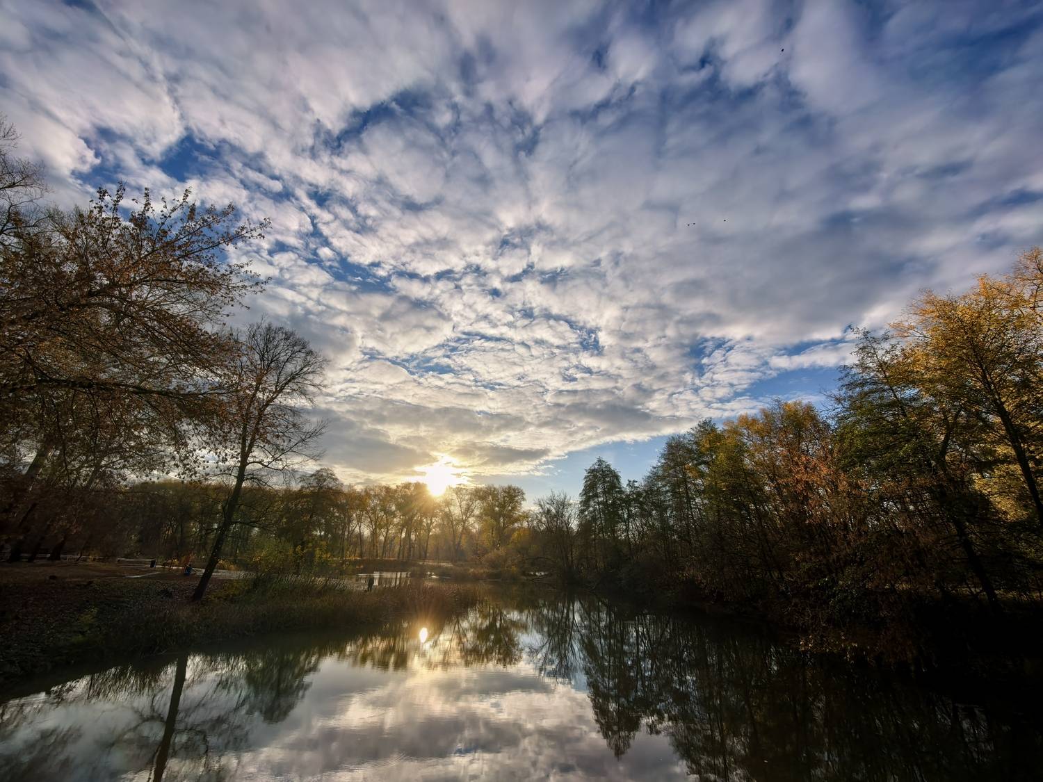 Photo #13324007