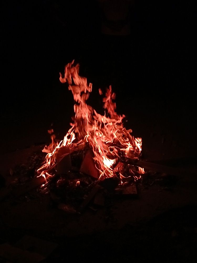 Photo #13324010