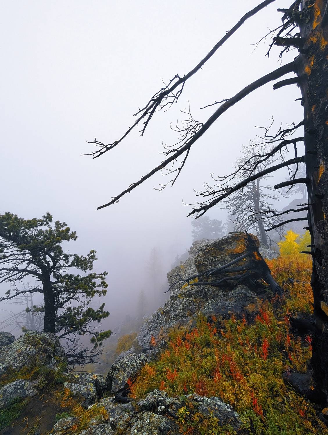 Фотография #13324015