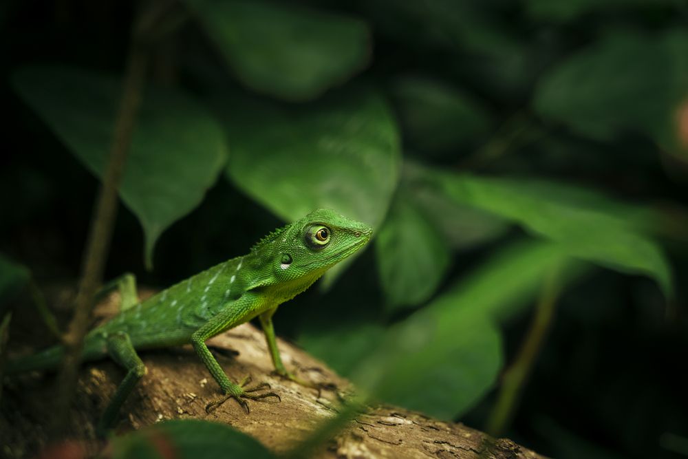 Photograph by Sarka Svobodova