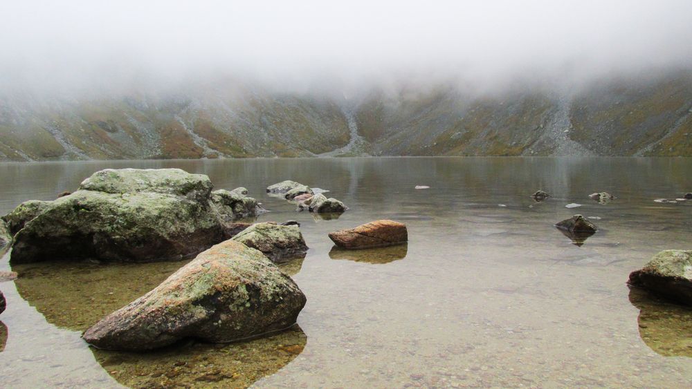 Photo #13324105