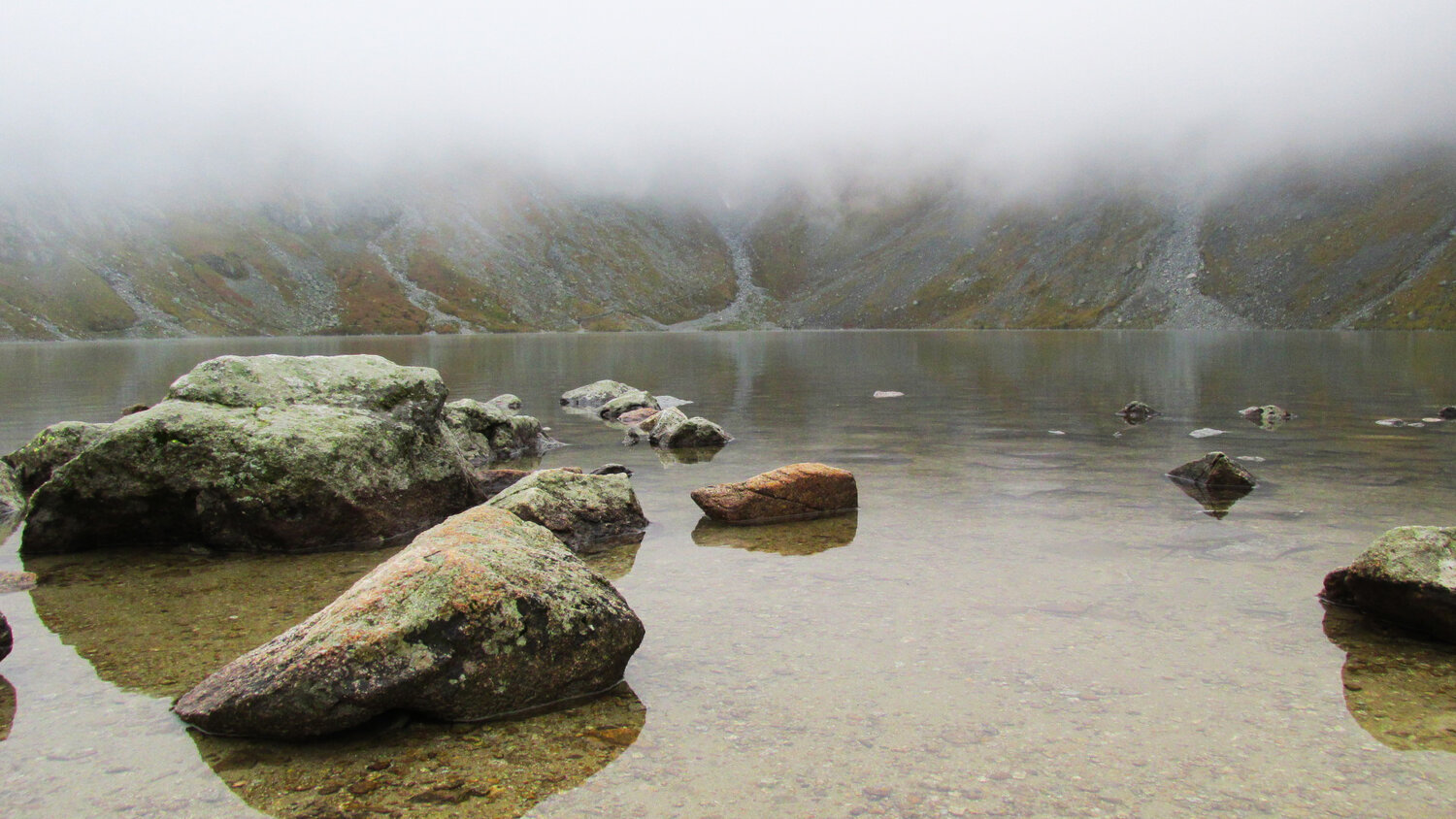 Photo #13324105