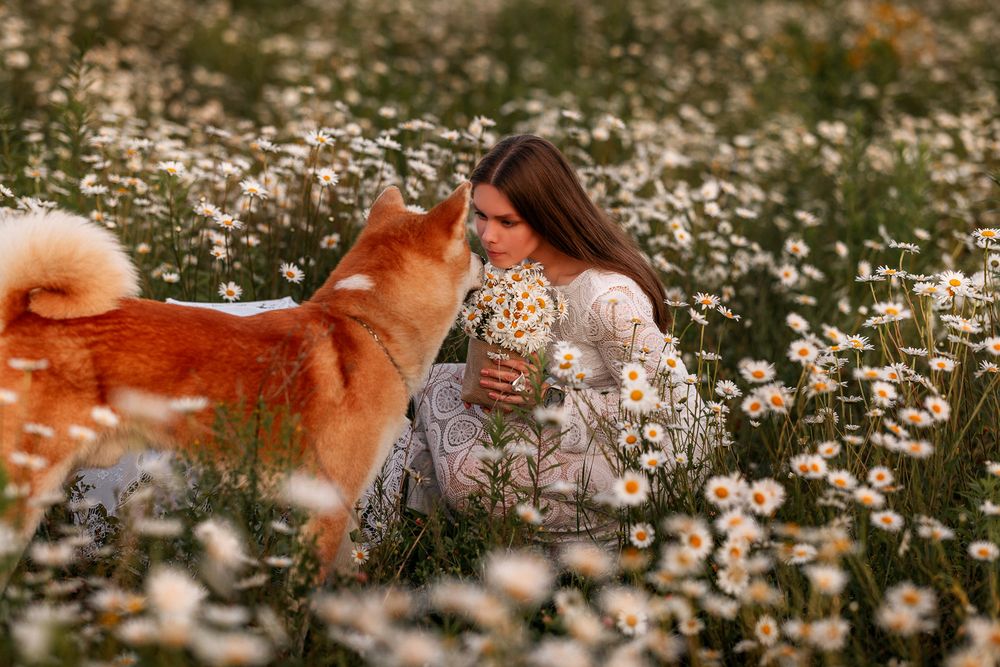 Photograph by Виктория Чушкина