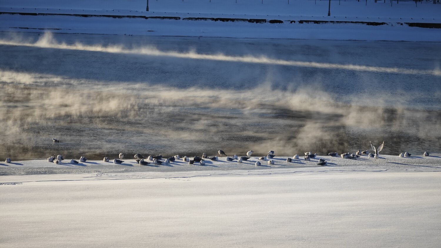 Photo #13324167