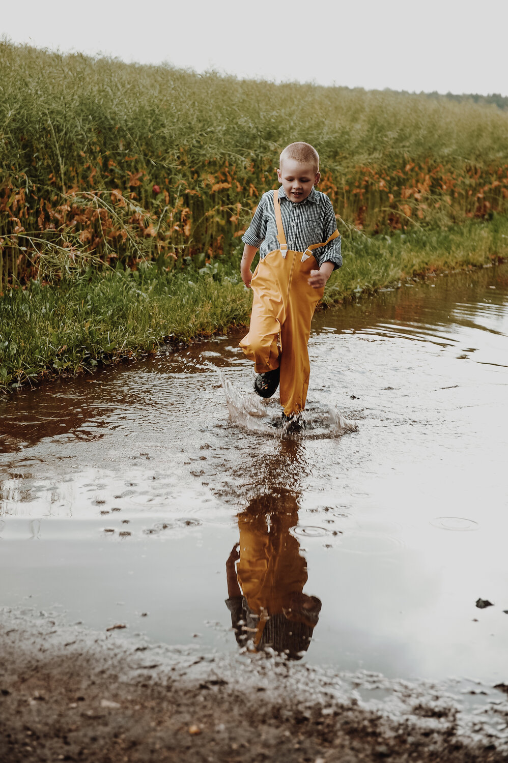 Photo #13324204