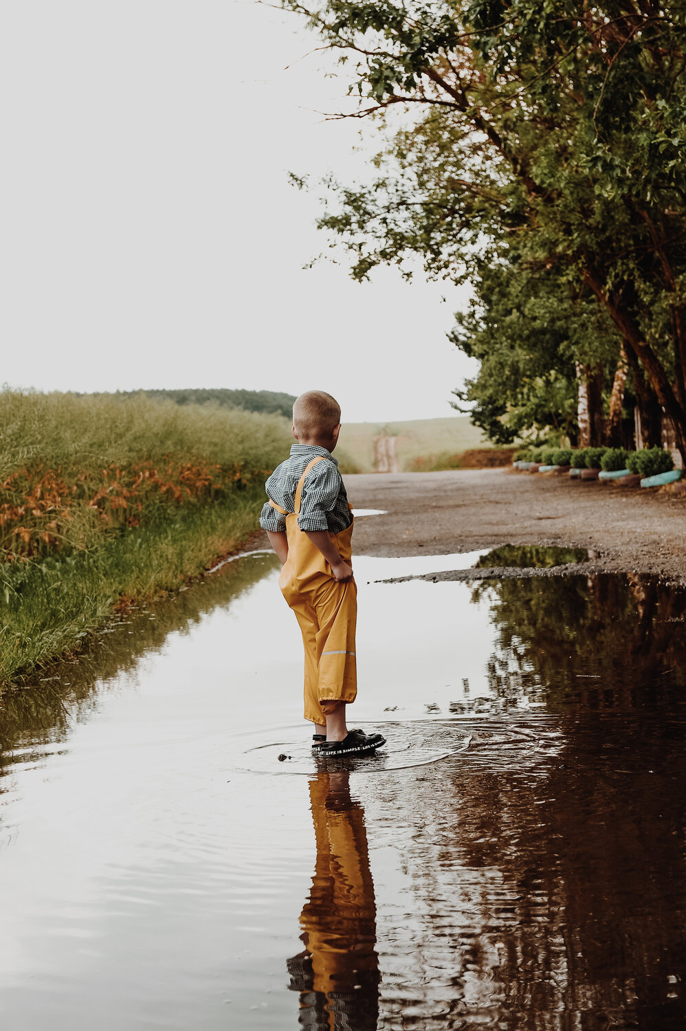 Photo #13324206