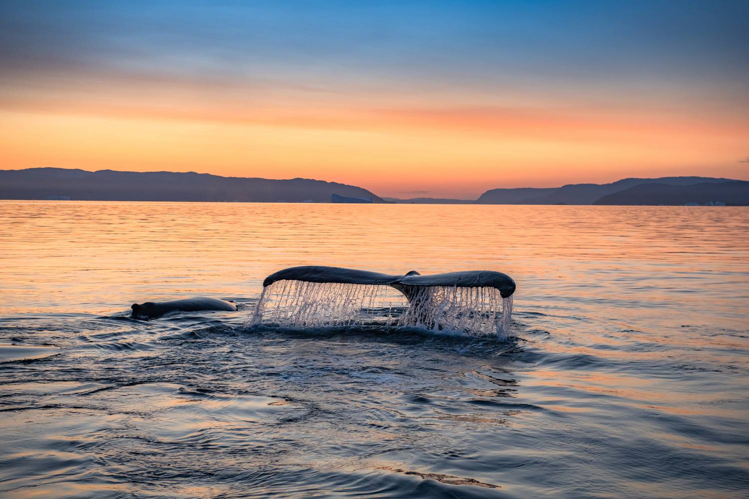 Фотография #13324266