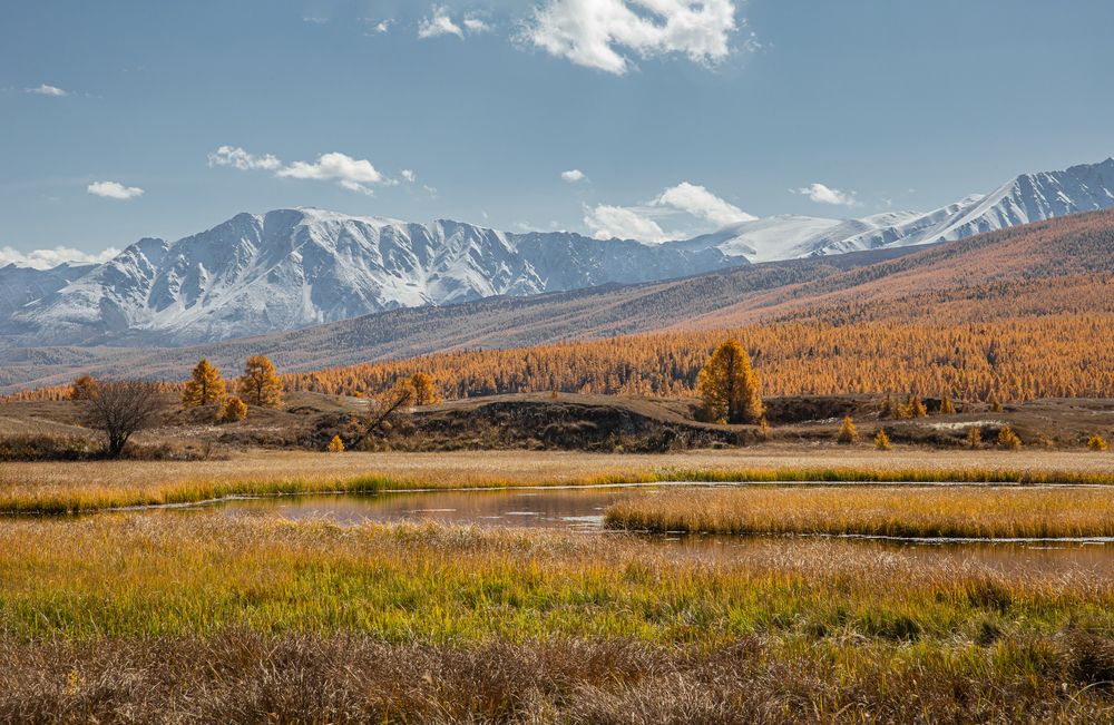 Photograph by Елена Павлова