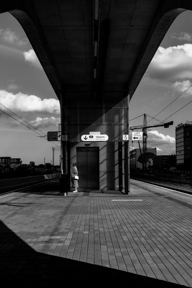 Фотография автора Nikolay Surovtsev