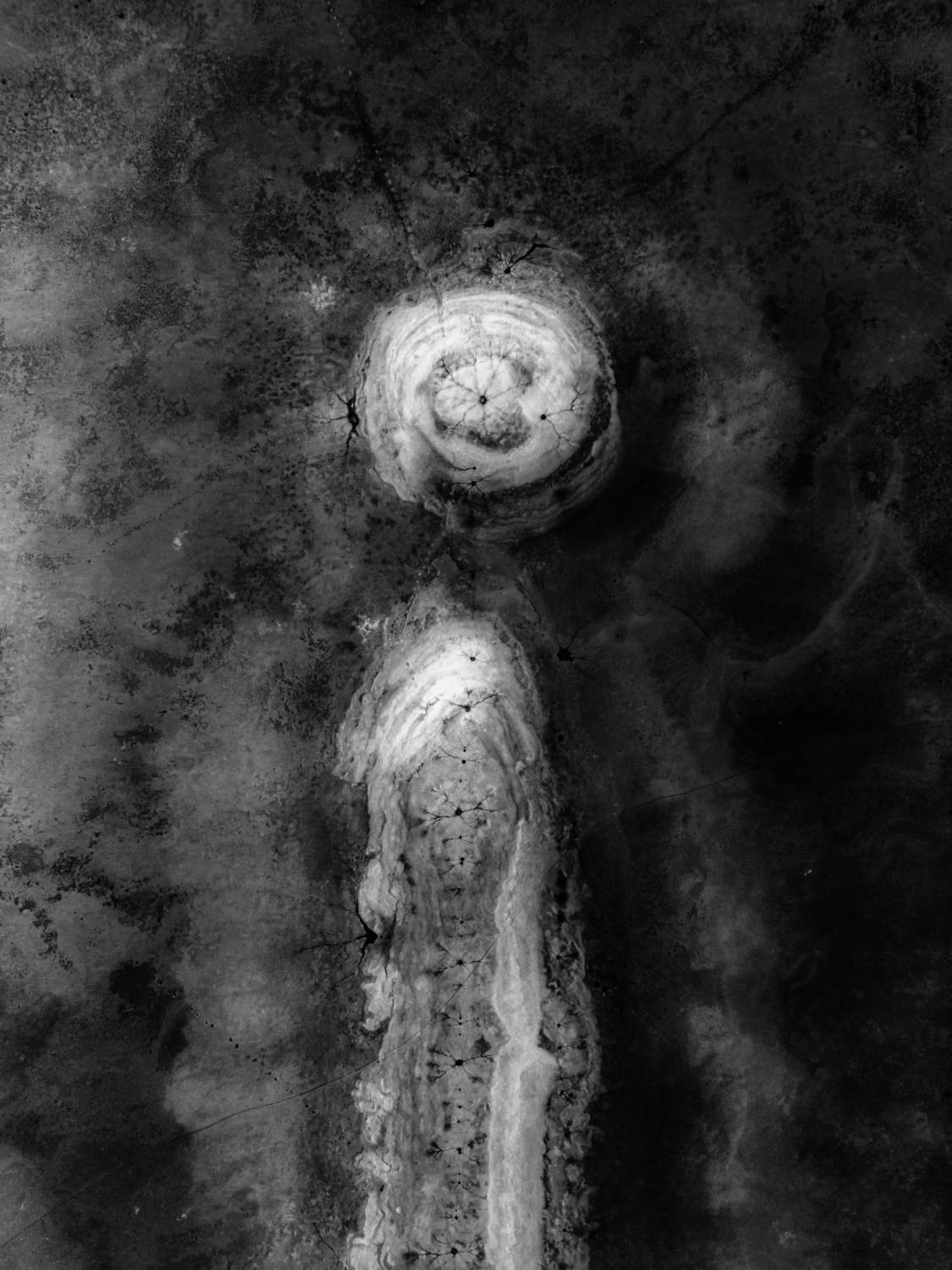 Фотография #13324370