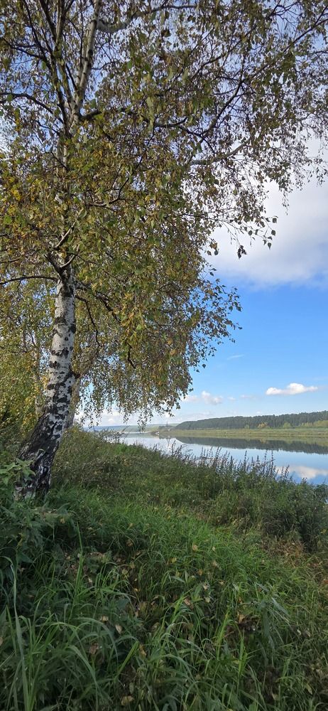 Photo #13324421