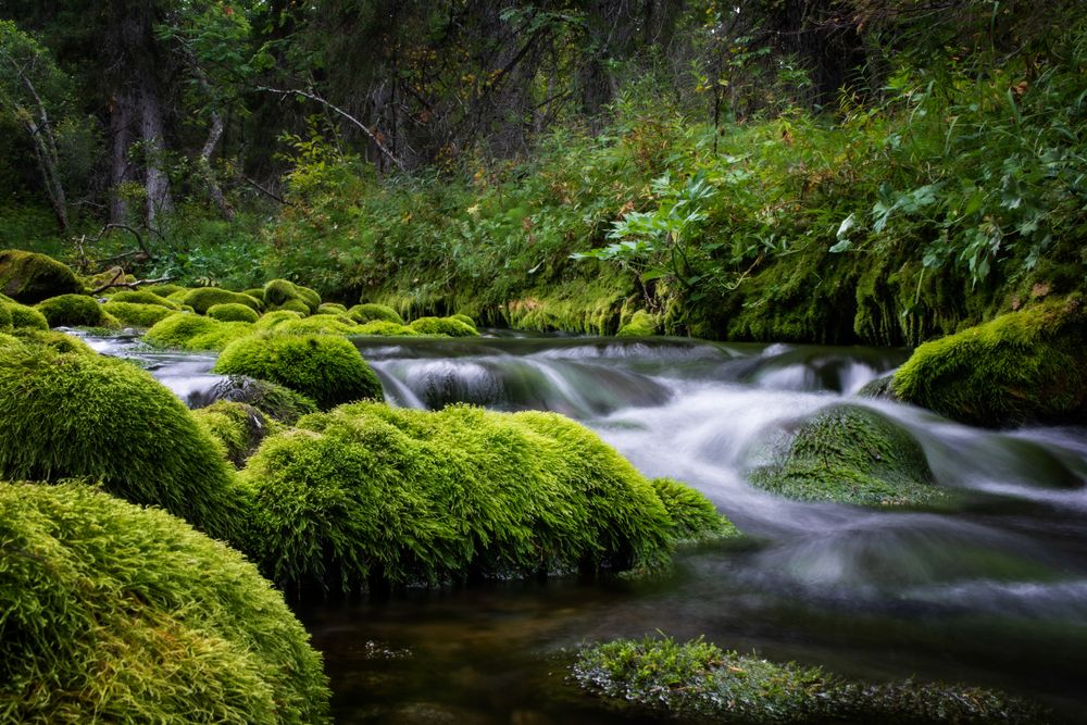 Фотография автора Коцюрба Татьяна