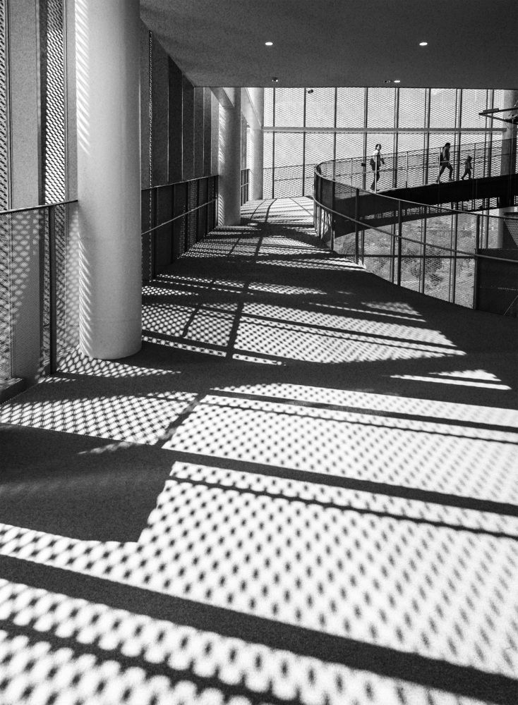 Shadow Walk 