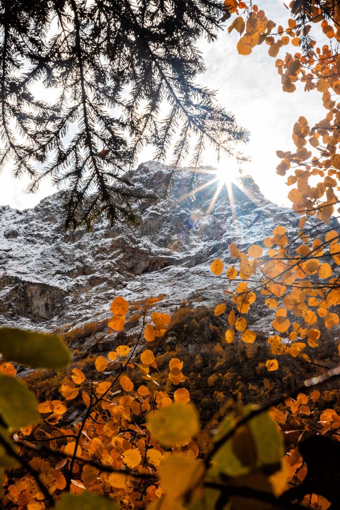 Photograph by EKATERINA WALTER