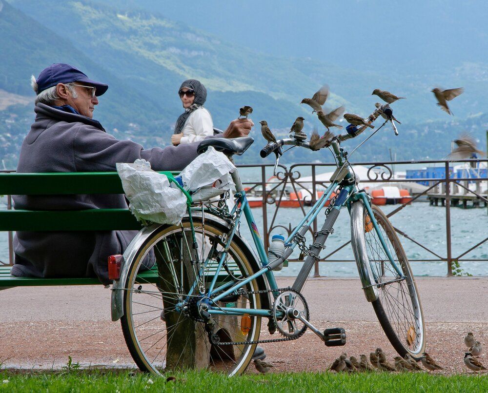 Photograph by Власов Андрей