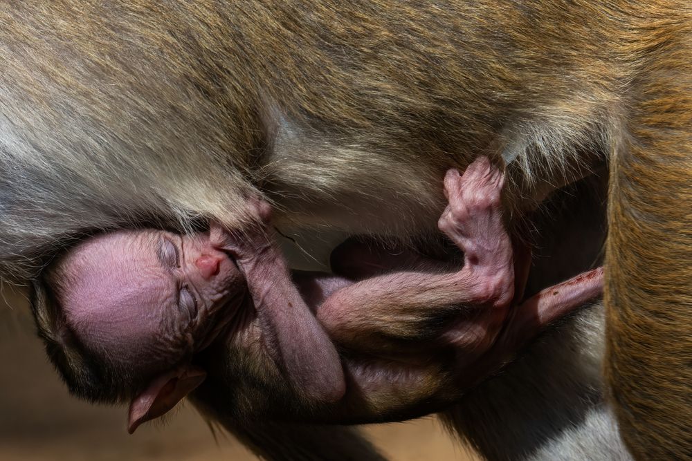 Photograph by Shehan Dondeenu