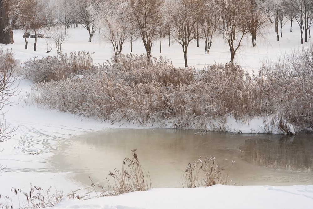 Фотография автора Наталья Почтенная